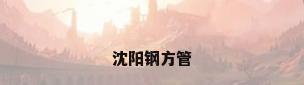 沈阳钢方管