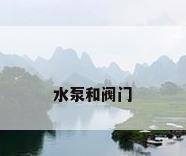 水泵和阀门