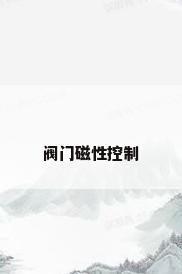 阀门磁性控制