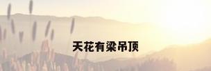 天花有梁吊顶