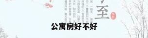公寓房好不好