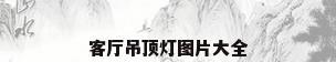 客厅吊顶灯图片大全