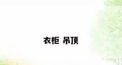 衣柜 吊顶