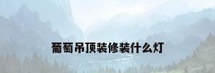 葡萄吊顶装修装什么灯