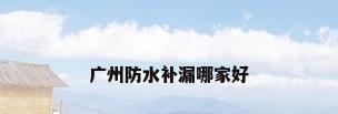 广州防水补漏哪家好