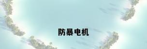 防暴电机