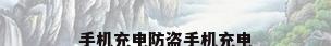 手机充电防盗手机充电