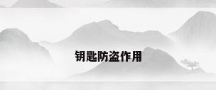 钥匙防盗作用