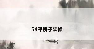 54平房子装修