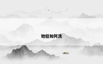地毯如何洗