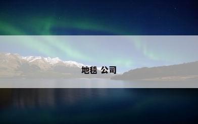 地毯 公司