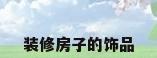 装修房子的饰品