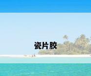 瓷片胶