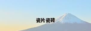瓷片瓷砖