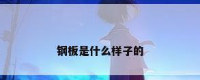 钢板是什么样子的