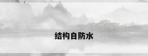结构自防水