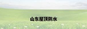 山东屋顶防水