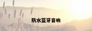 防水蓝牙音响