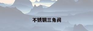 不锈钢三角阀