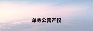 单身公寓产权