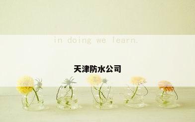 天津防水公司
