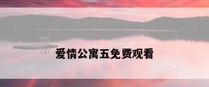爱情公寓五免费观看