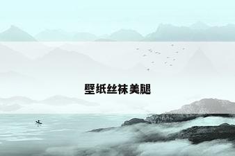 壁纸丝袜美腿