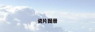 瓷片图册