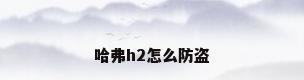 哈弗h2怎么防盗