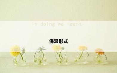 保温形式