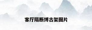 客厅隔断博古架图片