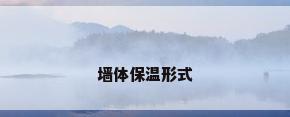 墙体保温形式