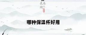 哪种保温杯好用