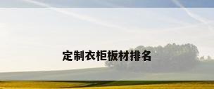定制衣柜板材排名