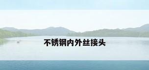 不锈钢内外丝接头