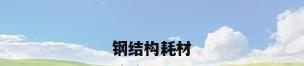钢结构耗材