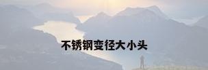 不锈钢变径大小头