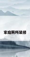 家庭厕所装修