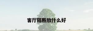 客厅隔断放什么好