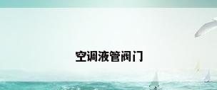 空调液管阀门