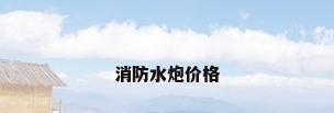 消防水炮价格