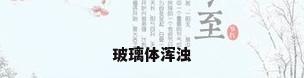 玻璃体浑浊