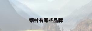 钢材有哪些品牌