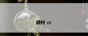 钢材 cr