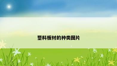 塑料板材的种类图片
