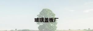玻璃盖板厂