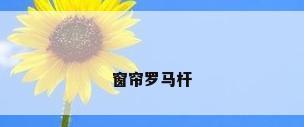 窗帘罗马杆
