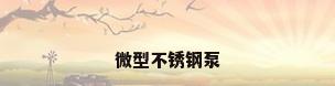 微型不锈钢泵