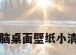 电脑桌面壁纸小清新