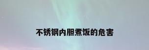 不锈钢内胆煮饭的危害